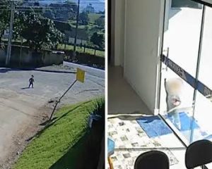 Coordenadora de creche é exonerada após bebê escapar em SC