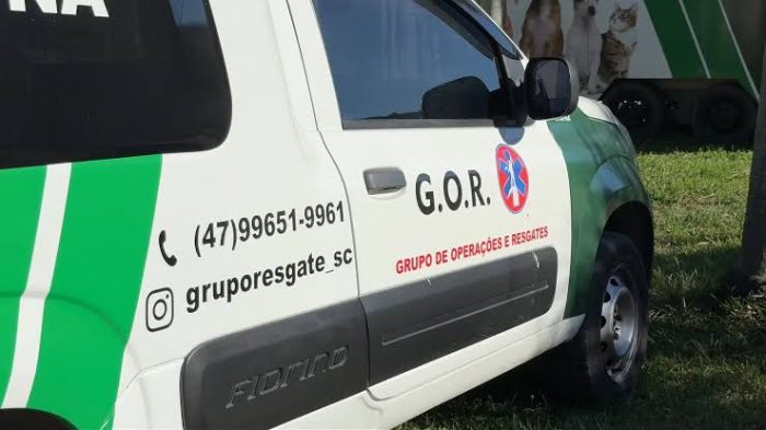Cão doente é colocado em sacola e descartado em terreno; tutor acaba preso
